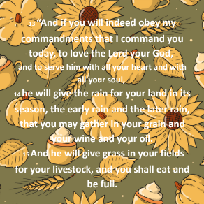 Fall is a Season of Promise